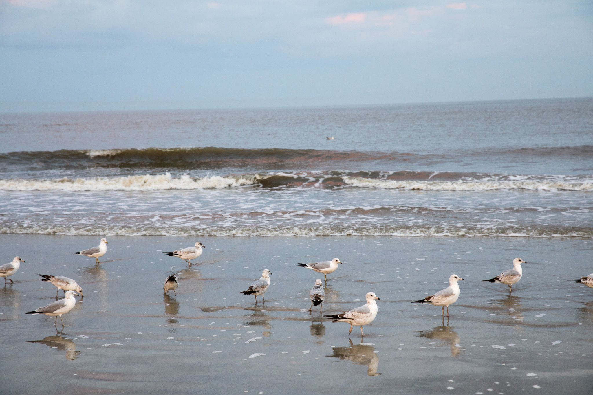 HDR implementing innovative coastal solutions across the country