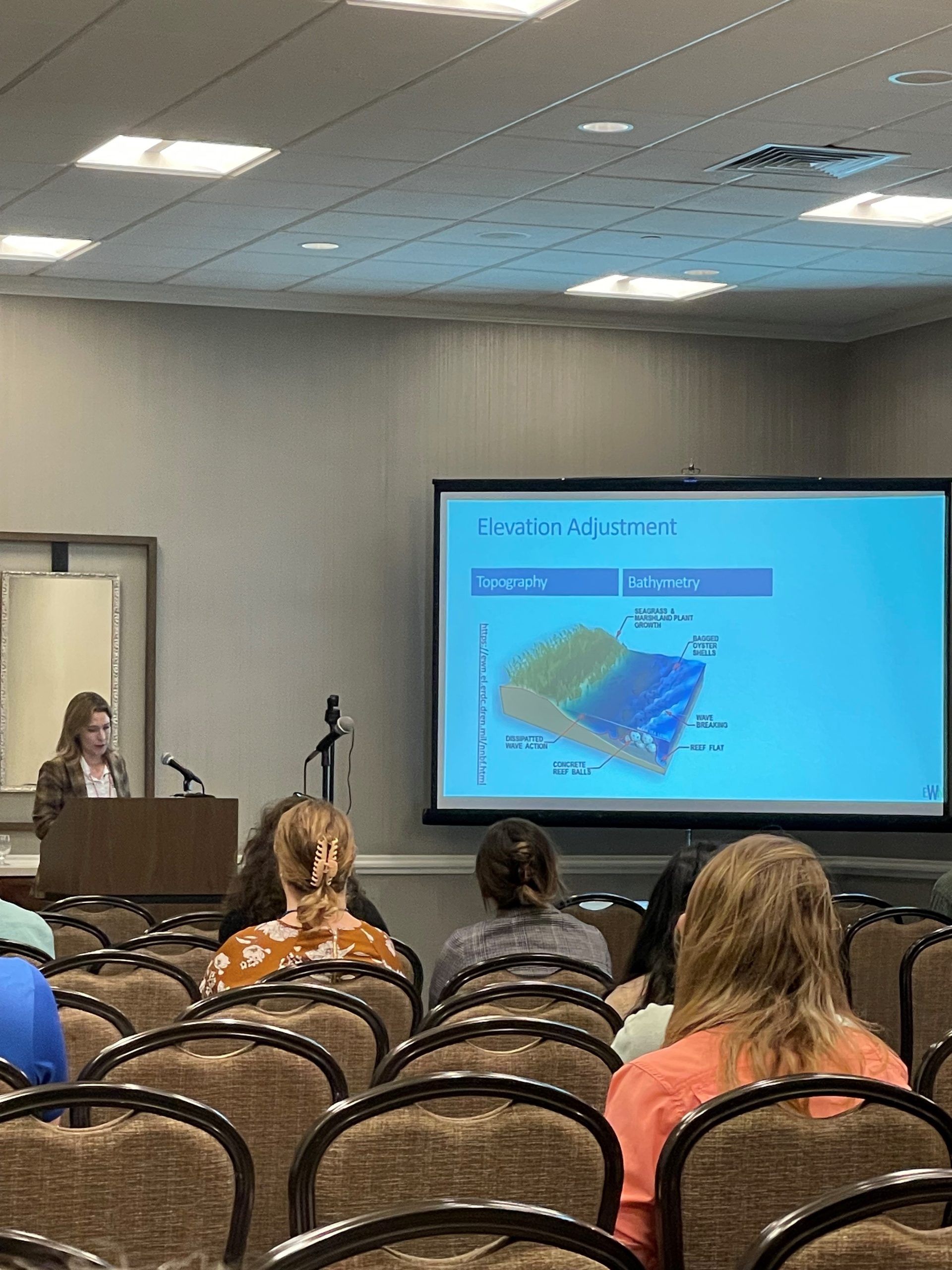 Use of Natural and Nature-Based Features in Estuarine Systems