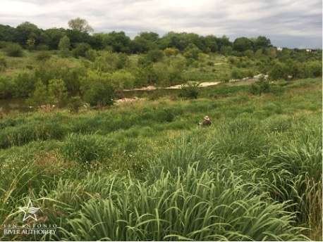 San Antonio Project Turns Flood Control Channel into Thriving Urban Ecosystem