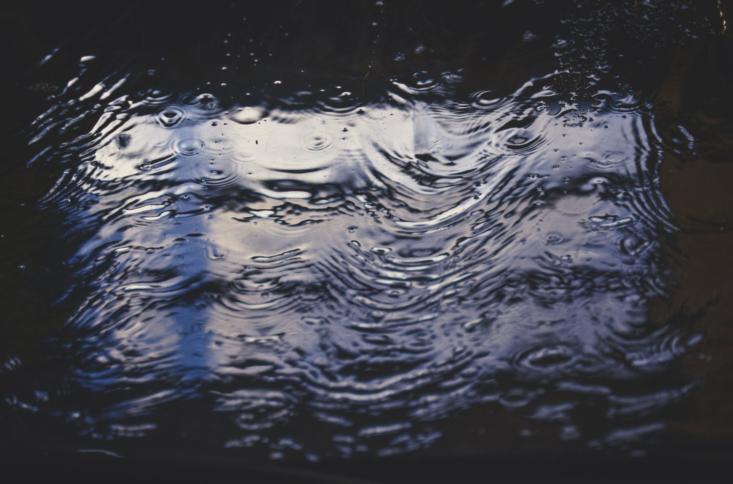 Partners featured in Washington Post: Natural infrastructure for rising seas