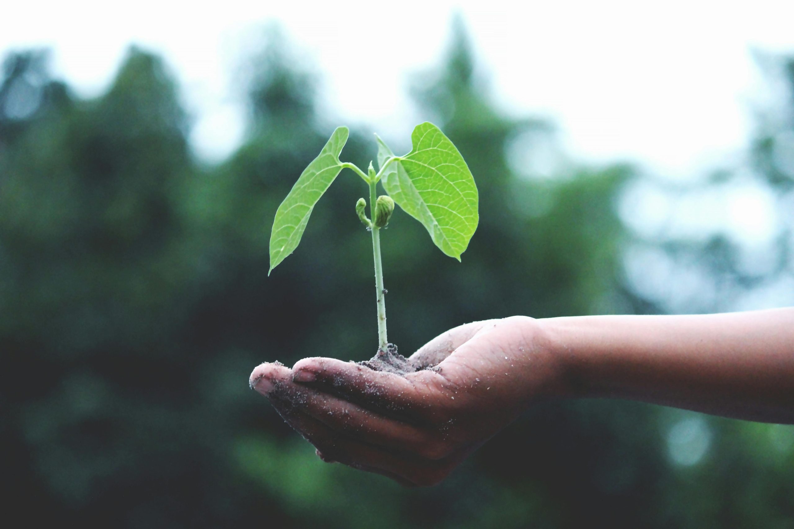 N-EWN at Climate Week NYC: Resilience in Action