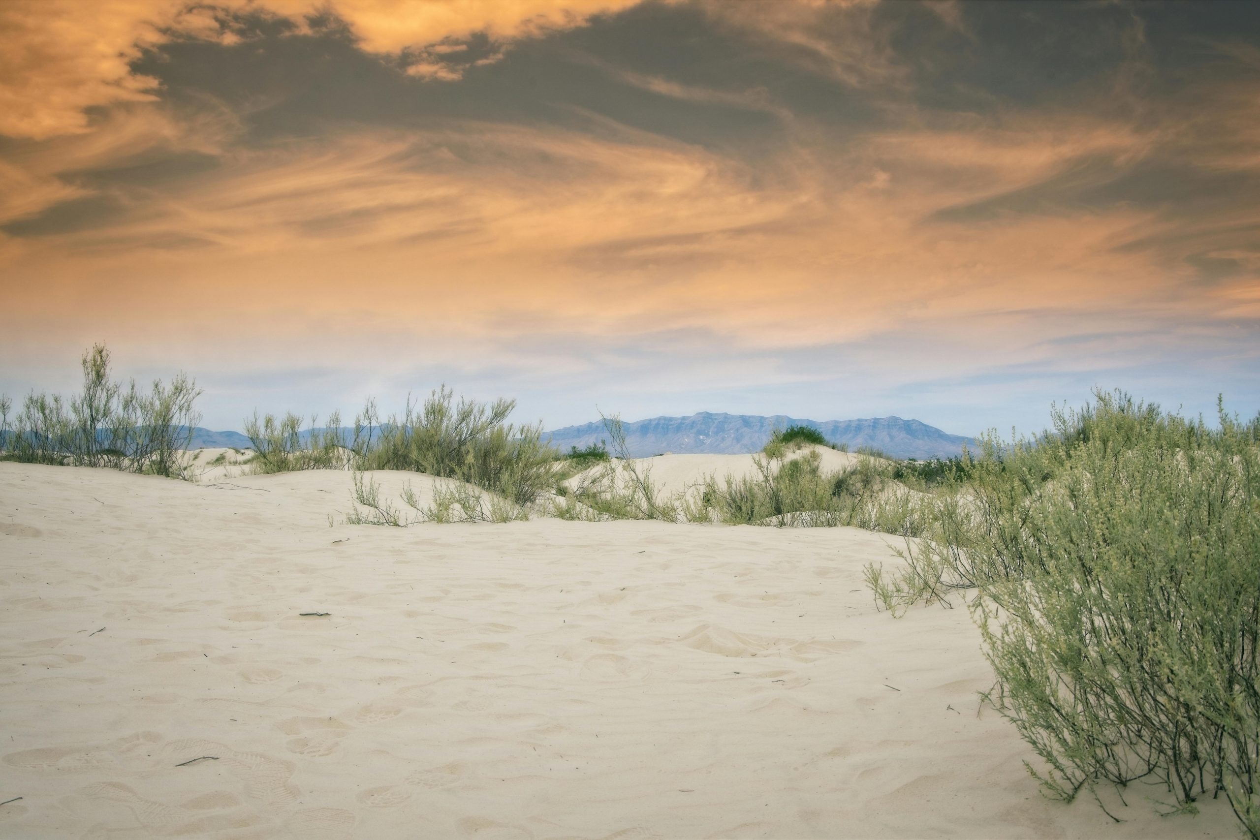 Partners featured in Washington Post article on the importance of dunes for climate solutions