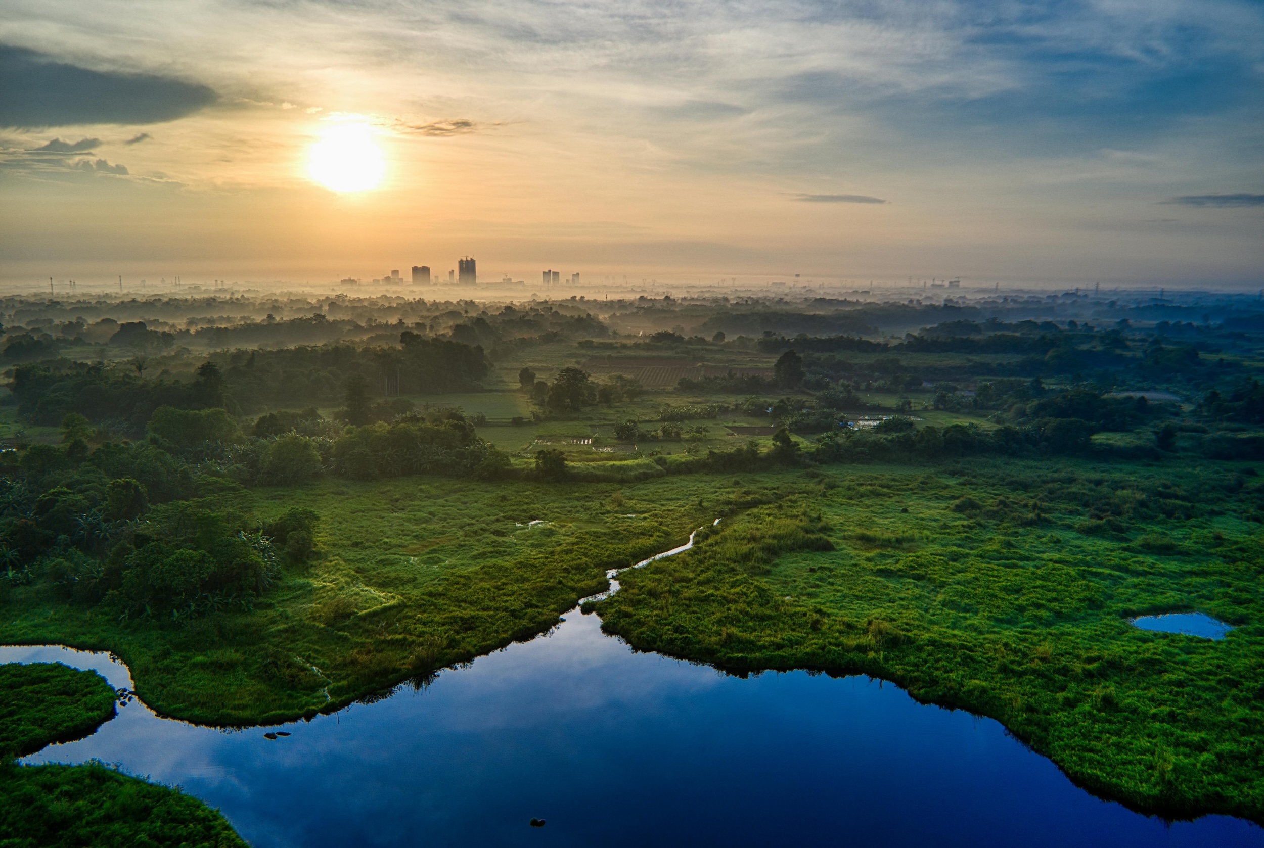 Nature at Work: Wetlands