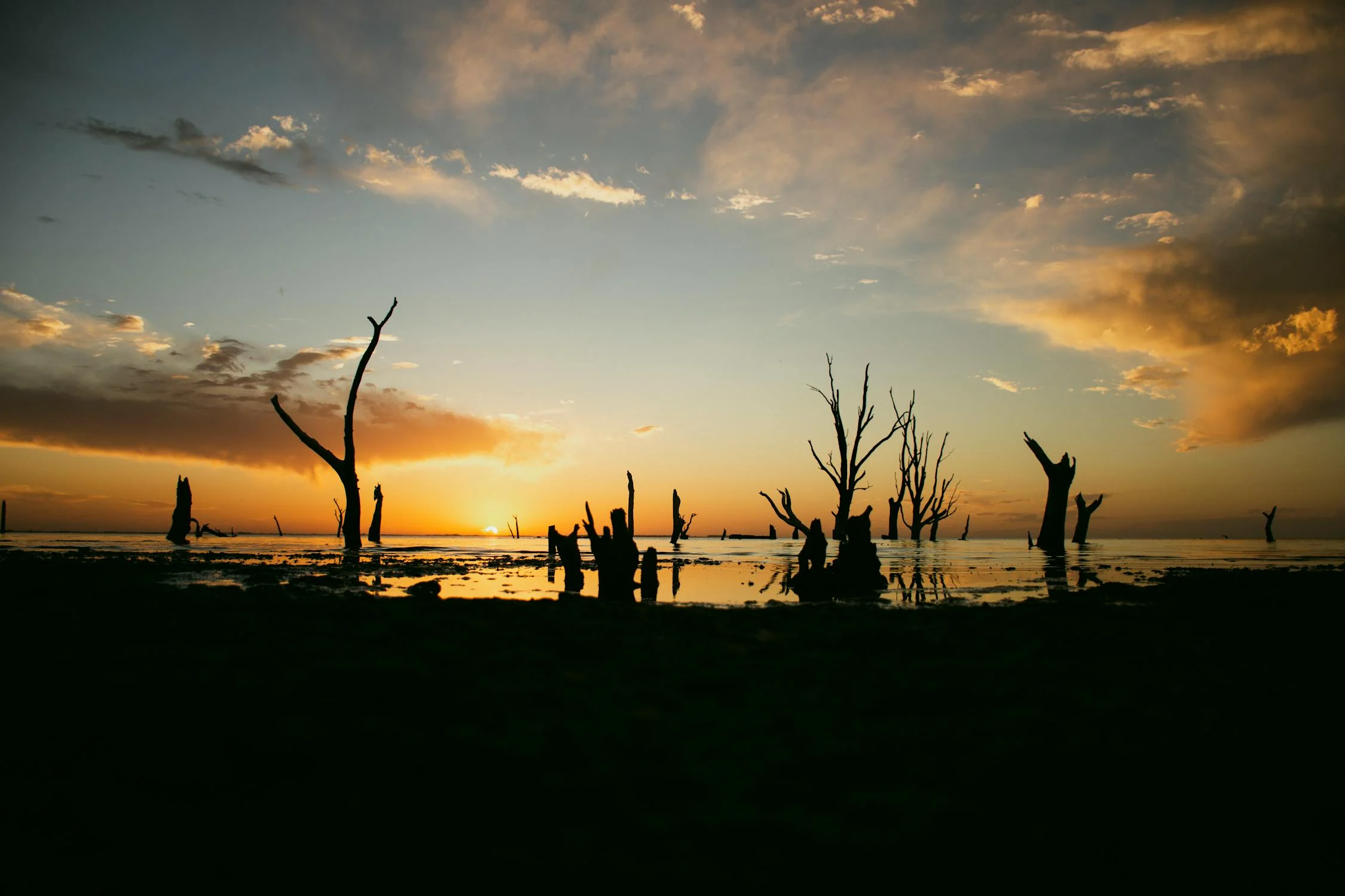 New publication: Nature-based solutions and compound flooding