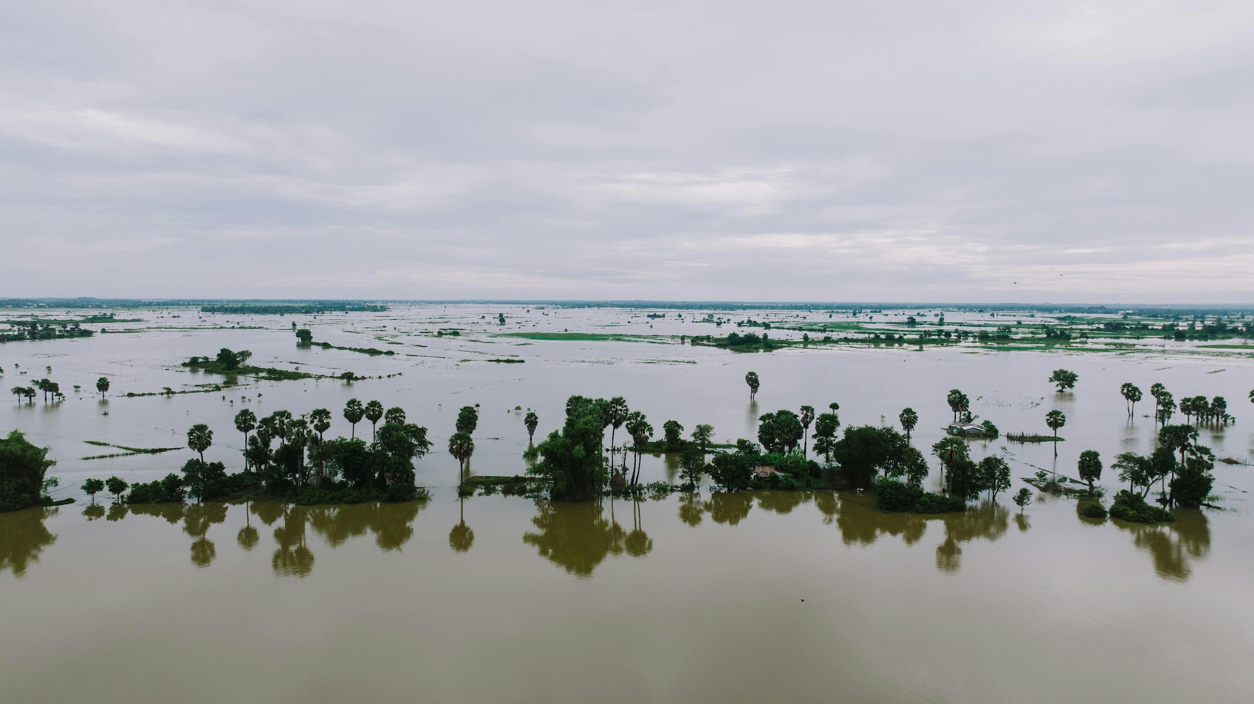Interdisciplinary team investigate roadblocks to natural infrastructure implementation