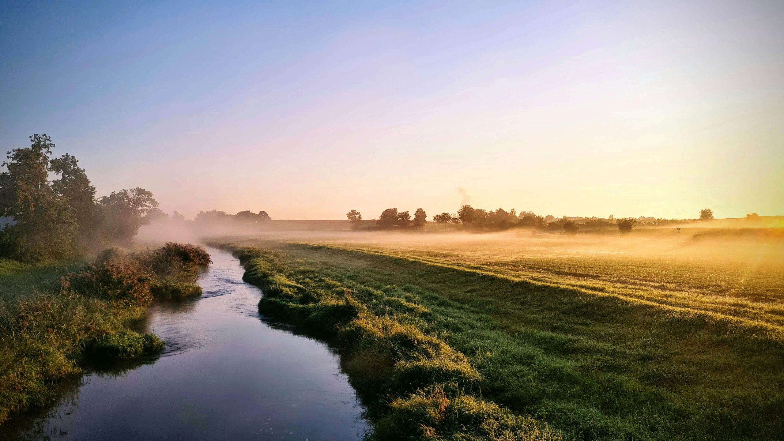 Levee setbacks have a lot of potential co-benefits. How can we maximize them?