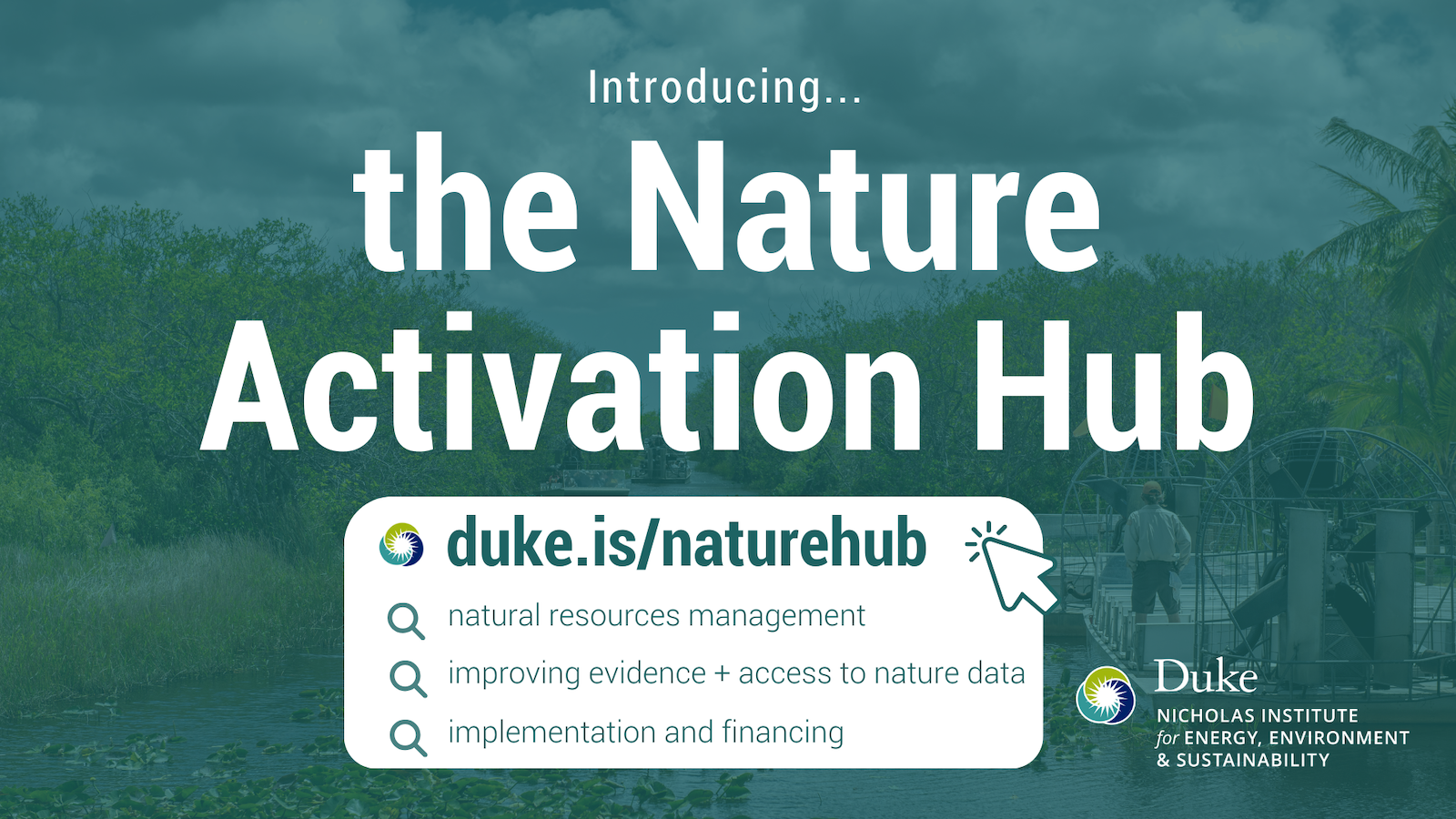 Duke Experts Offer Resources for Activating Nature