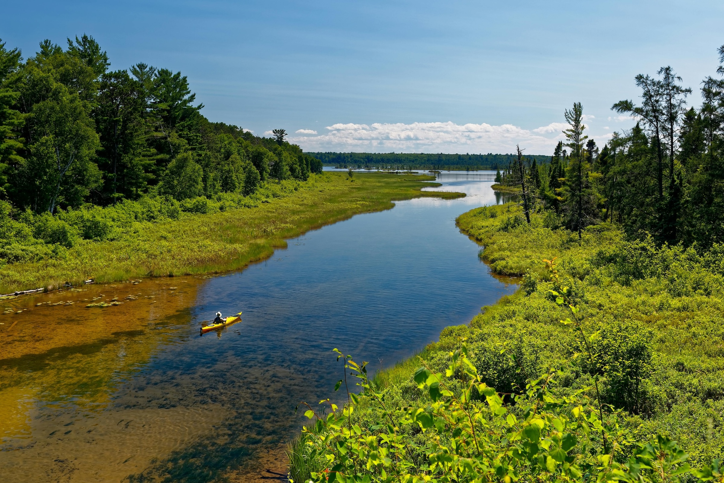 Understanding Biofiltration Ponds