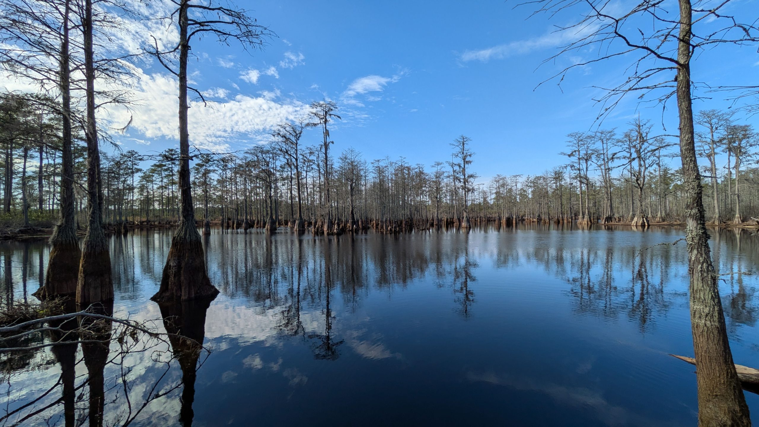 Finding homes for future fowl: Ducks Unlimited student heads into the lowcountry to assess waterfowl habitat