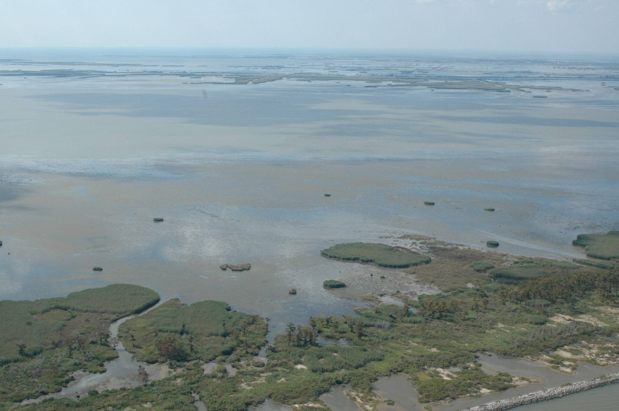 USACE experts to host Engineering With Nature Workshop at State of the Coast 2025 this month
