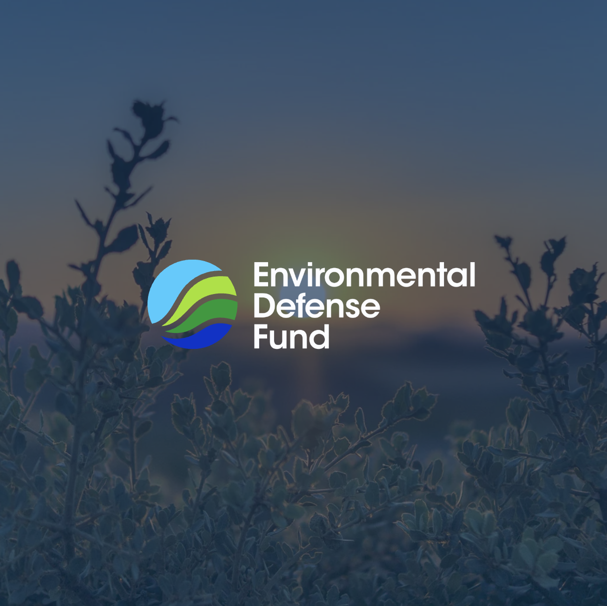 Partner Takeover: Environmental Defense Fund