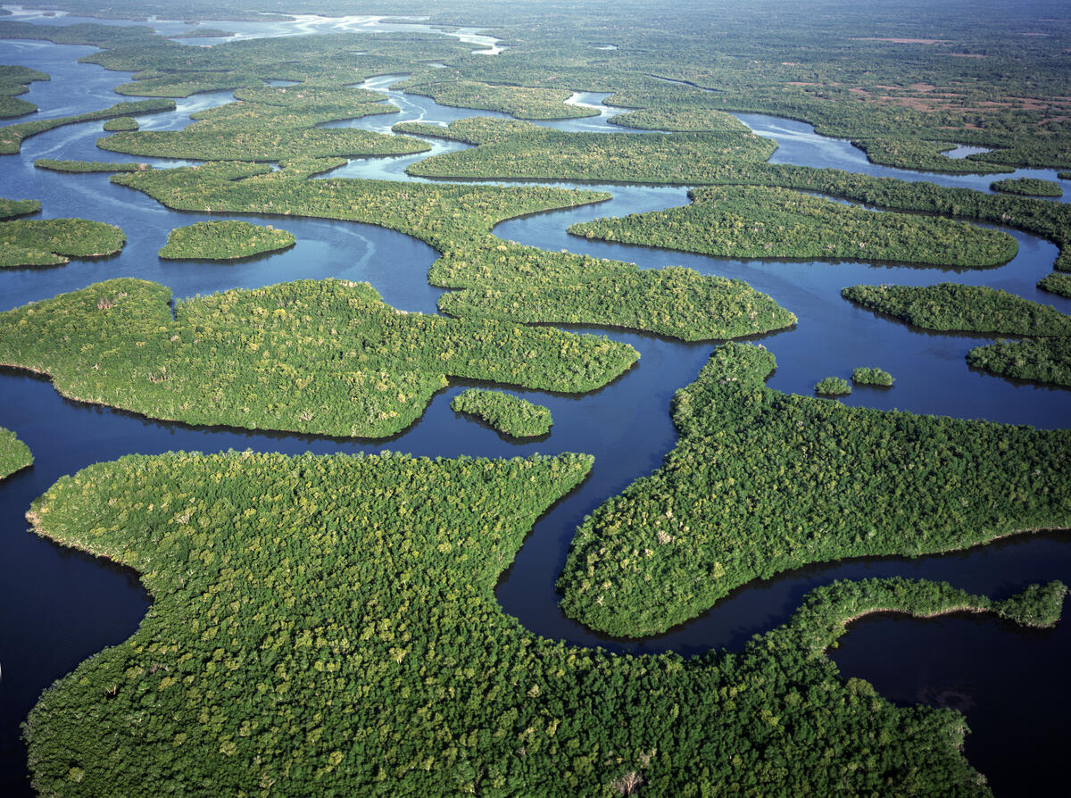 EDF advocates for wetland protections