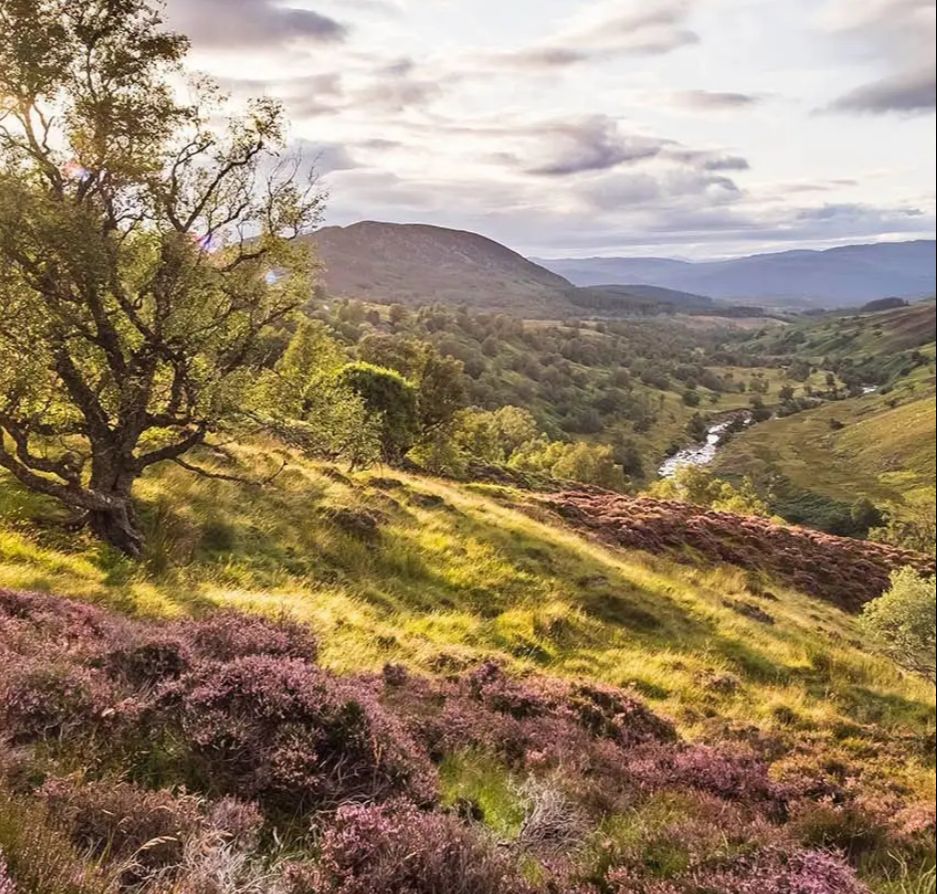 AECOM’s Nature-Based Solutions: Empowering People and Nature to Thrive
