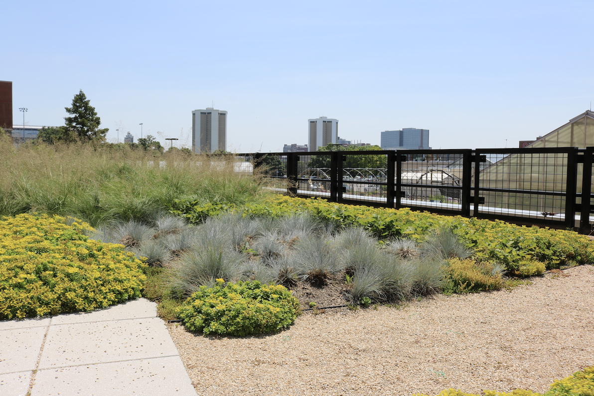 Duke University: Introducing the Nature Activation Hub