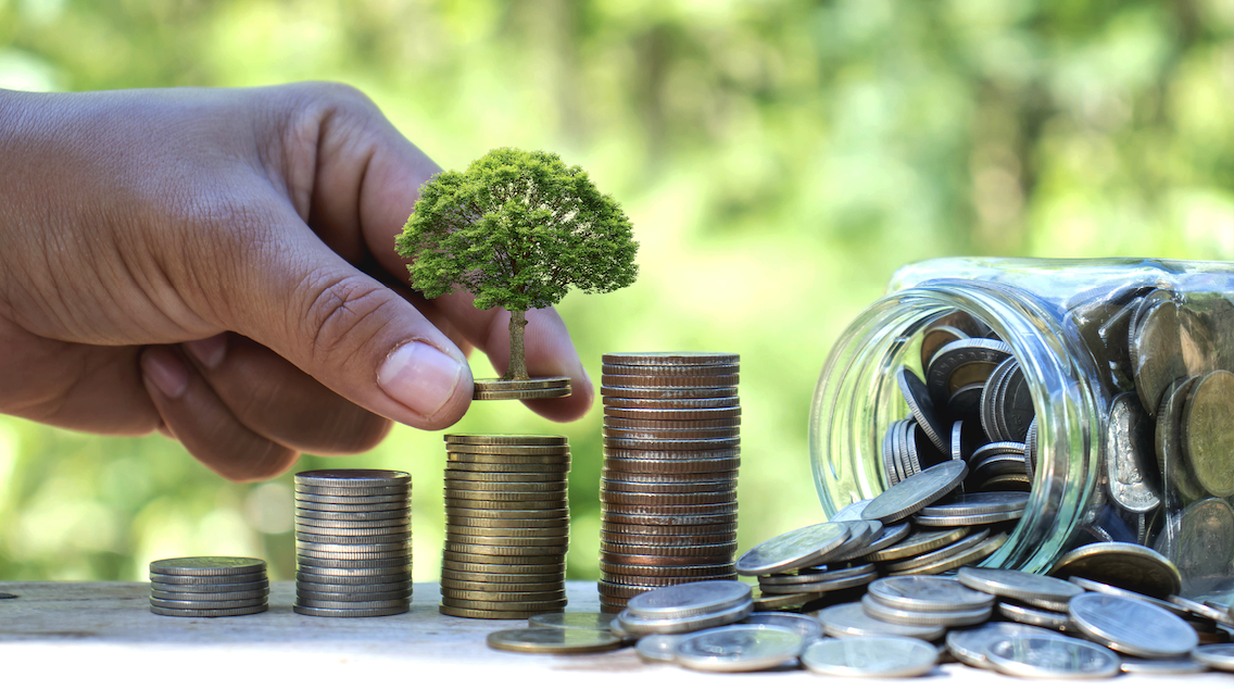 Duke’s Nature Activation Hub: Lowering Barriers to Investment in NbS