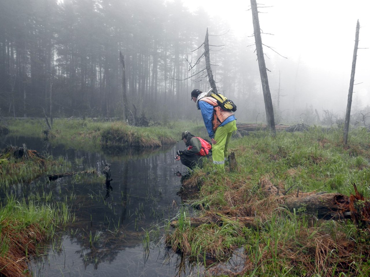 Northrop Grumman Partnership: Driving Innovation for Environmental Conservation