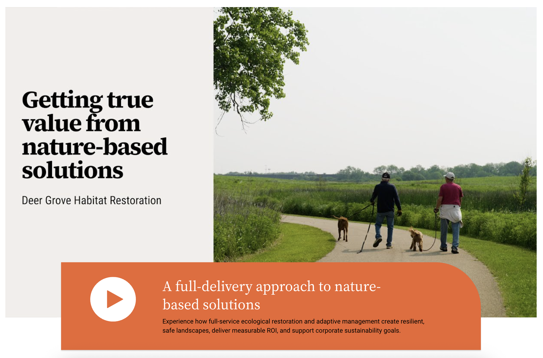 Nature-based Solution Success at Deer Grove Forest Preserve