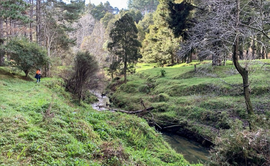 Stantec Project Highlight: Hoteo River – Bank Erosion Geomorphic Solutions