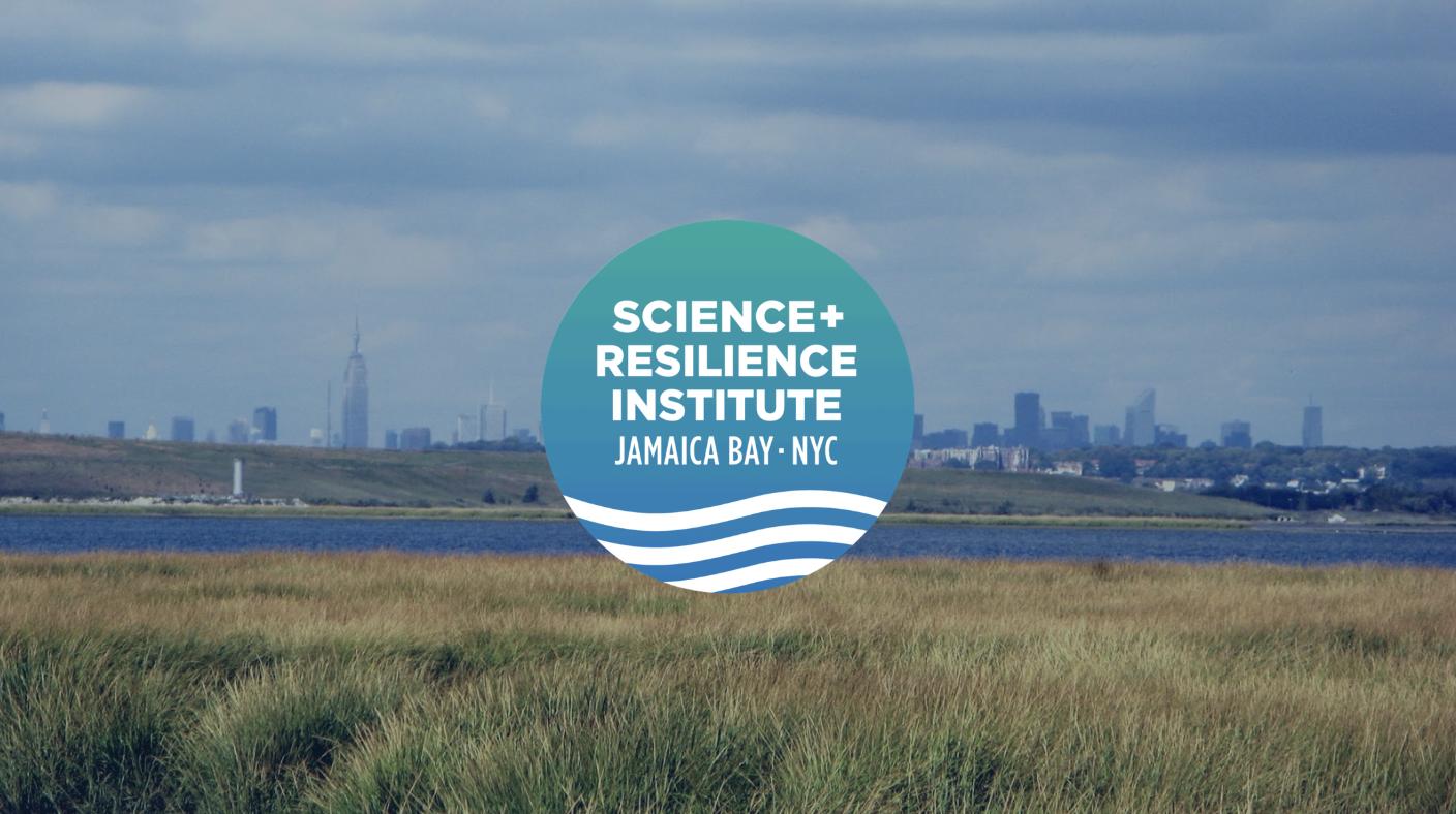 Partner Takeover: The Science and Resilience Institute at Jamaica Bay