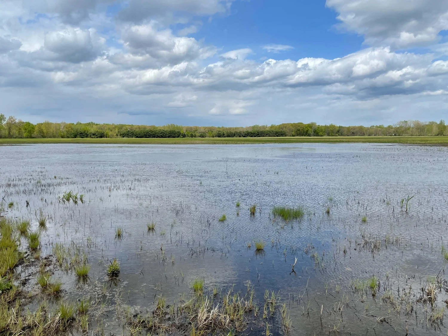 H2Ohio: Earth Economics and The Nature Conservancy partner to promote investments that protect Ohio wetlands