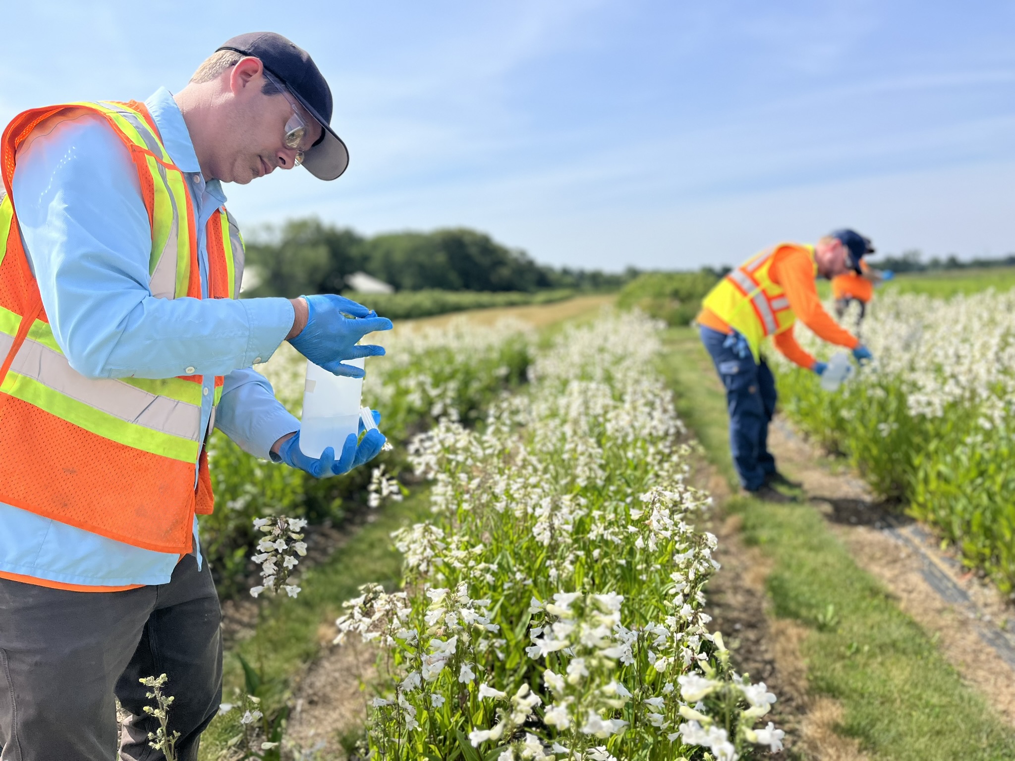 Stantec Delivers Engineering with Nature Across the Globe