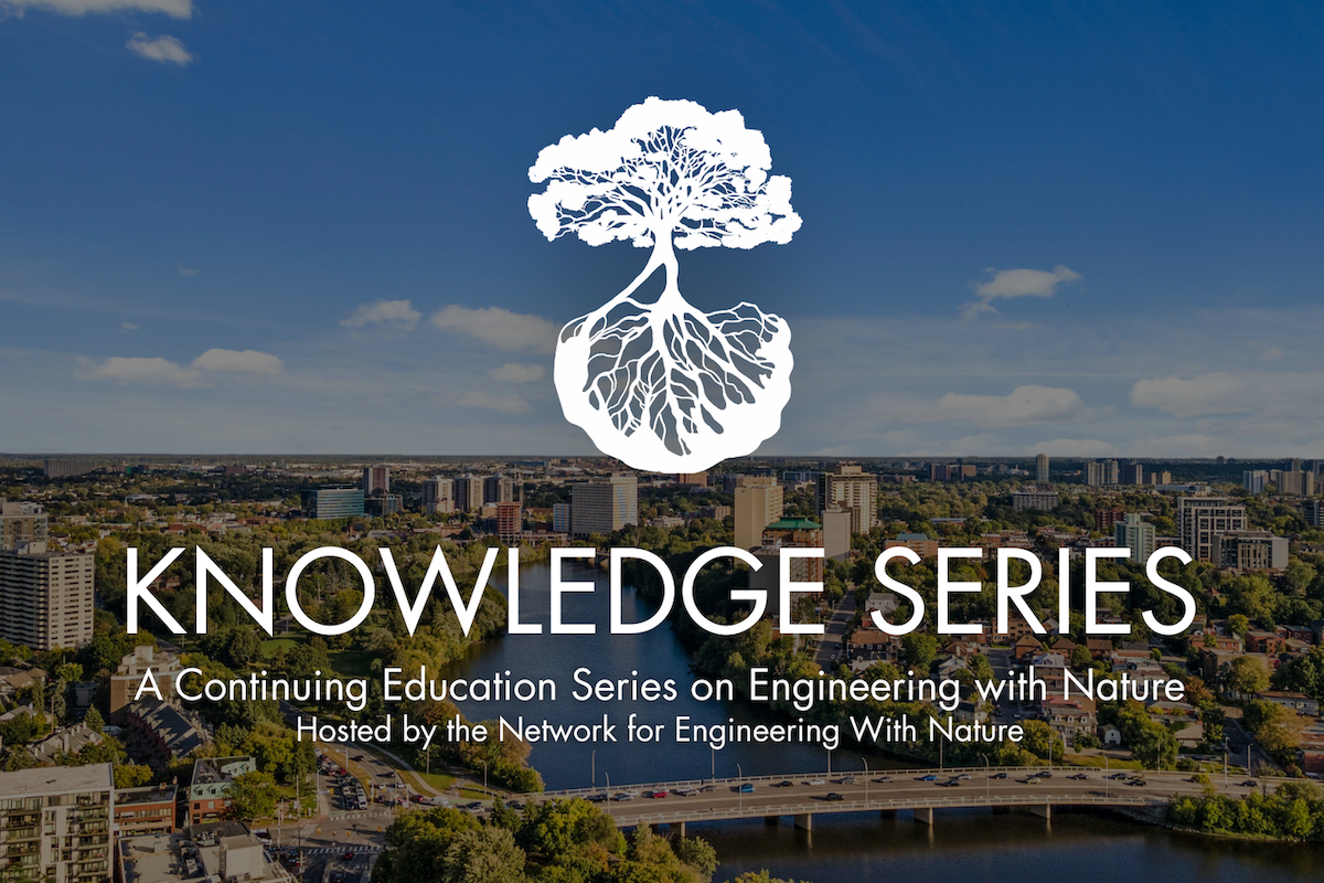 November 2024 Knowledge Series: The Tibbetts Brook Daylighting and Greenway Project – Restoring a Waterway in New York City