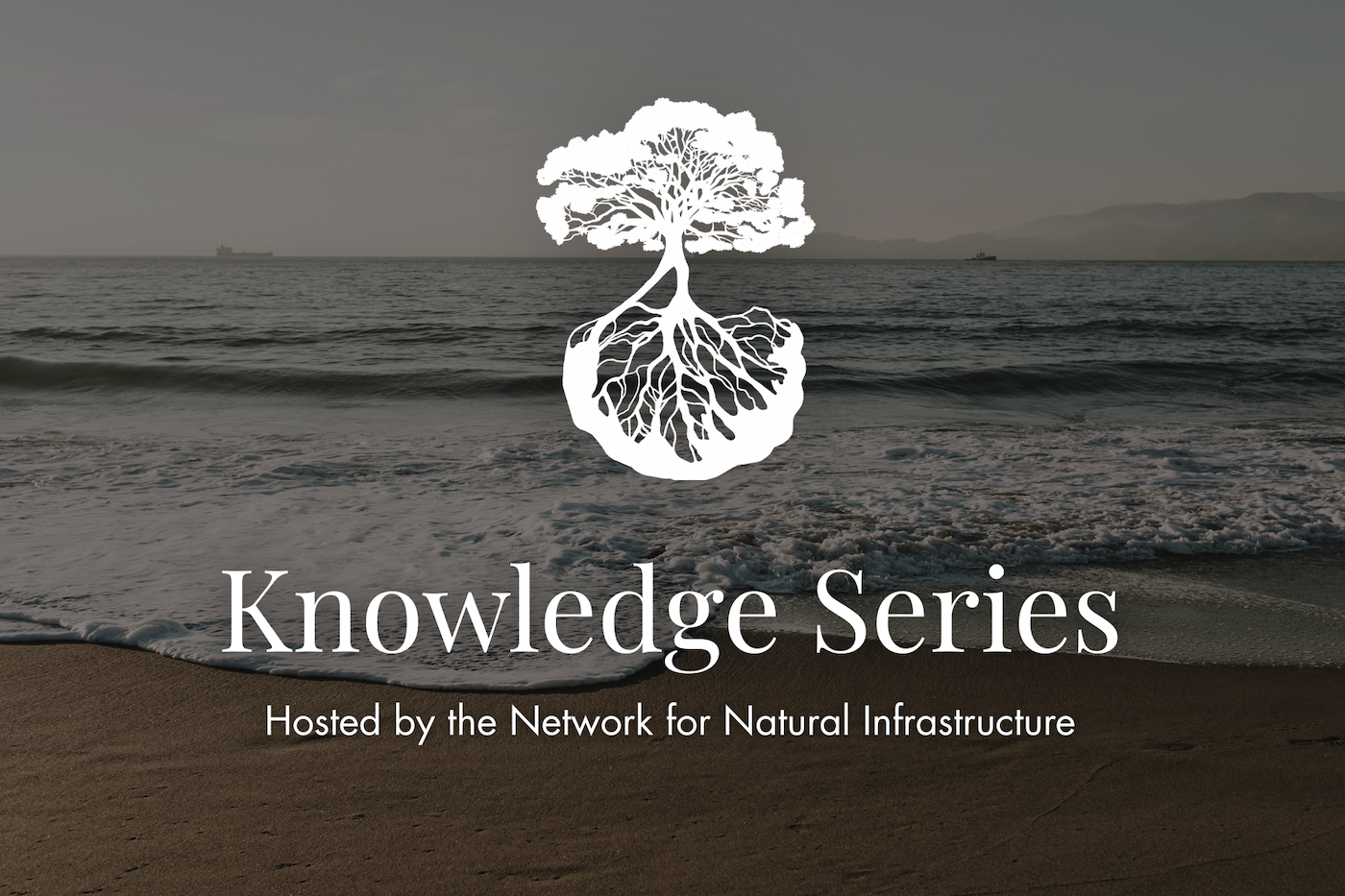 October 2026 Knowledge Series: Nature-Based Coastal Resilience at Marine Corps Recruit Depot Parris Island